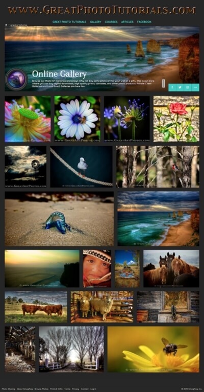 Design Diva - Great Art Photos